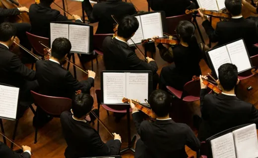 Mahler Universe