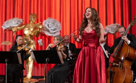 Classics of Austria, Das klassische Konzert in Wien