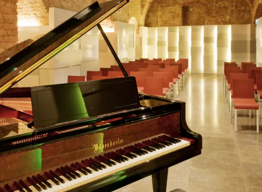 Wiener Ensemble: Concierto Clásico en Mozarthaus con Entrada al Museo