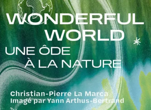 Wonderful World