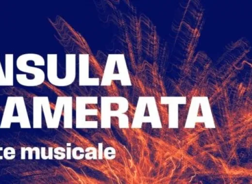 Insula Camerata