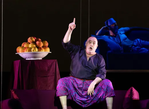 The Abduction From The Seraglio