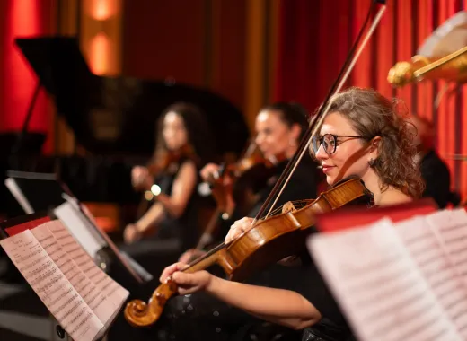 Classics of Austria, Il concerto classico a Vienna