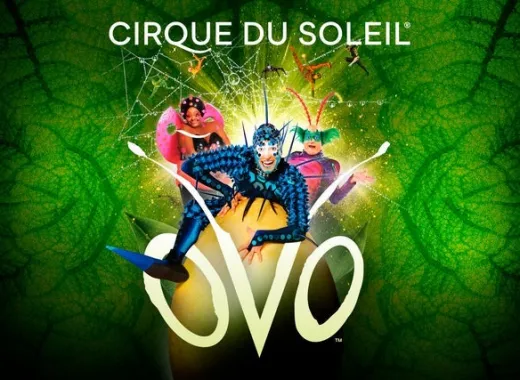 Cirque du Soleil Ovo Salzburg