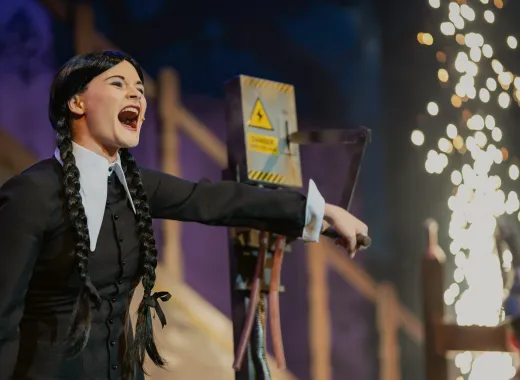 The Addams Family, Musicalul