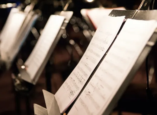 Tenor Viñas International Competition