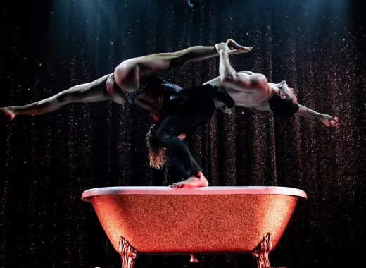 Paradis Latin Cabaret Shows