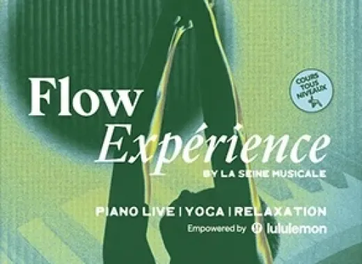 Flow Experience