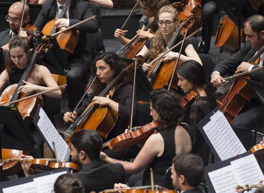 West-Eastern Divan Orchestra