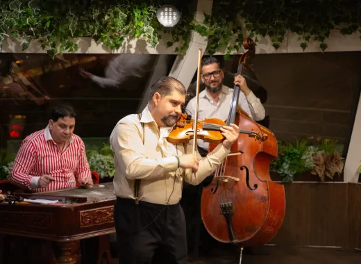 Crociera con cena a Budapest con spettacolo folcloristico e operetta