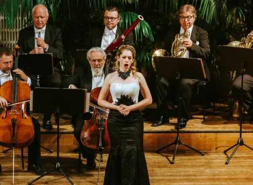 Orchestra della Hofburg di Vienna, Concerto Strauss e Mozart
