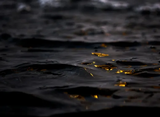 El oro del Rin