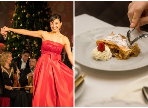 Cina și concert la Palatul Schönbrunn Viena