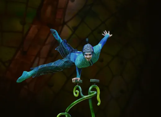 Cirque du Soleil OVO