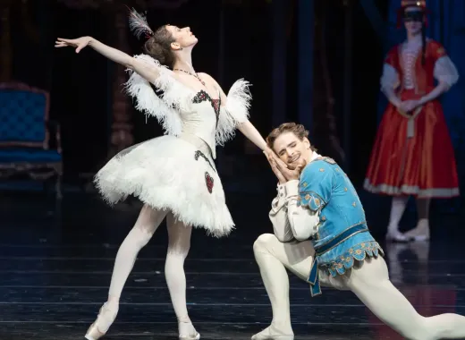 Illusions, Like Swan Lake Ballet