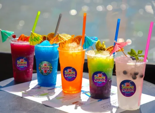 Crociera Slushy Illimitata sul Danubio