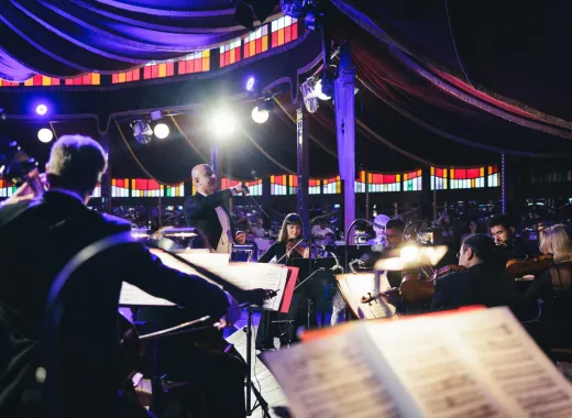 Spectacle Johann Strauss avec Dîner