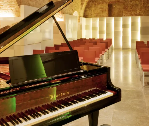 Ansamblul Viena, Concert Clasic la Mozarthaus cu Intrare în Muzeu