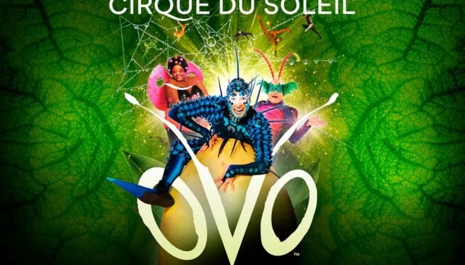 Cirque du Soleil, Ovo