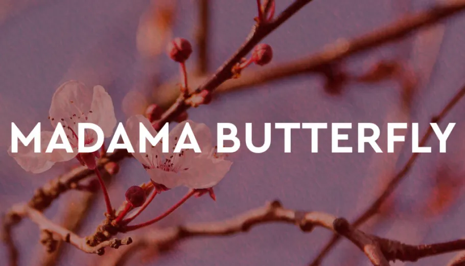 Madama Butterfly Puccini Festival 2026
