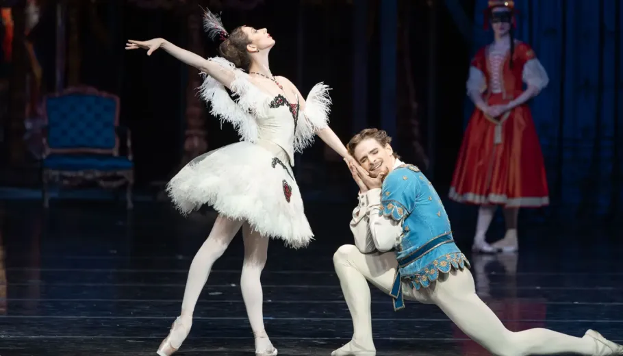 Illusionen, Wie Schwanensee Ballett